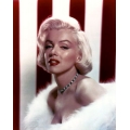 Marilyn Monroe Photo